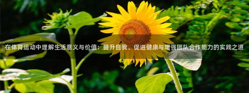 米兰体育官方正版app集团官网网址：在体育运动中理解