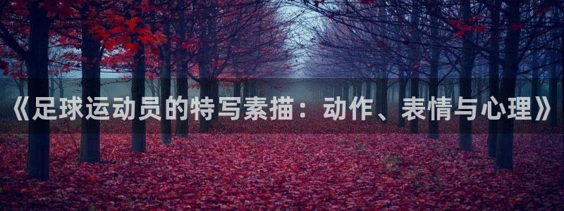 米兰体育官方正版app娱乐代理怎么样：《足球运动员的