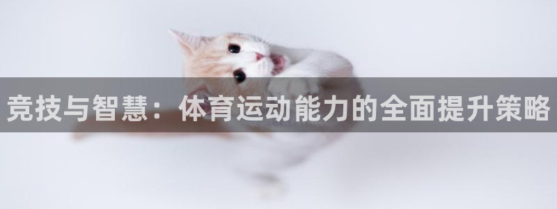 米兰体育官网下载平台APP：竞技与智慧：体育运动能力