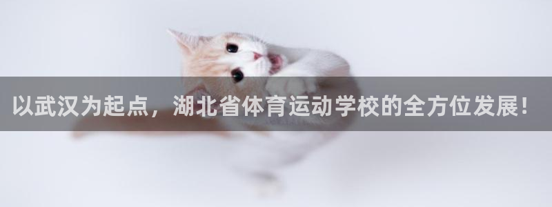 米兰体育官方正版app集团官网网址：以武汉为起点，湖