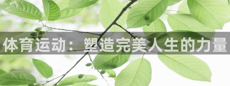 米兰体育官网下载平台假的吗是真的吗吗：体育运动：塑造