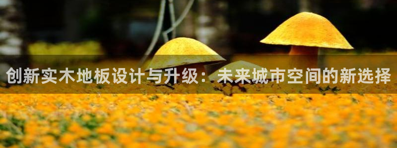 米兰体育官网下载平台：创新实木地板设计与升级：未来城