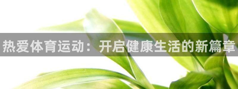 米兰体育官网下载注册：热爱体育运动：开启健康生活的新
