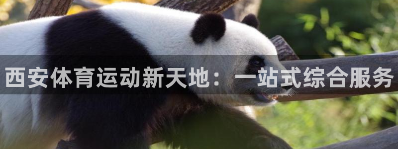 米兰体育官网下载招商电话：西安体育运动新天地：一站式综合服务