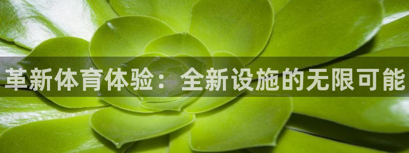 米兰体育官方正版app娱乐首页网站大全：革新体育体验