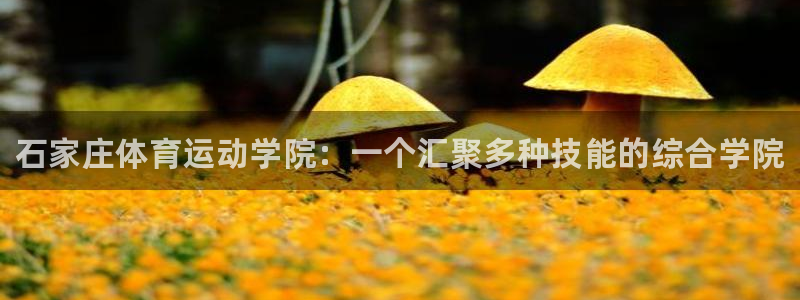 米兰体育官网下载平台注册流程图：石家庄体育运动学院：一个汇聚