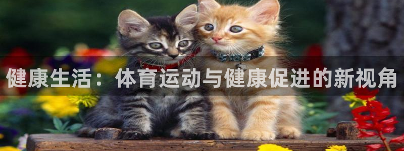 米兰体育官网下载联系电话