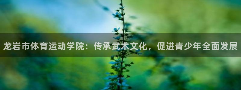 米兰体育官网下载招商电话地址查询