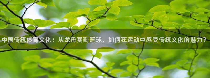 米兰体育官方正版app娱乐首页官网下载：中国传统体育文化：从
