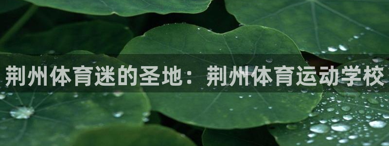 米兰体育官网下载招商电话号码是多少啊：荆州体育迷的圣地：荆州