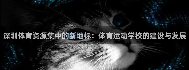 米兰体育官网下载平台：深圳体育资源集中的新地标：体育