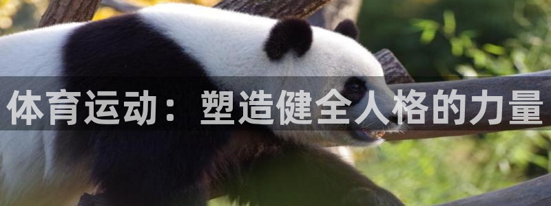 米兰体育官方正版app娱乐：体育运动：塑造健全人格的力量