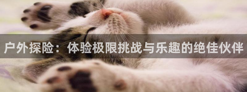 米兰体育官网下载招商：户外探险：体验极限挑战与乐趣的