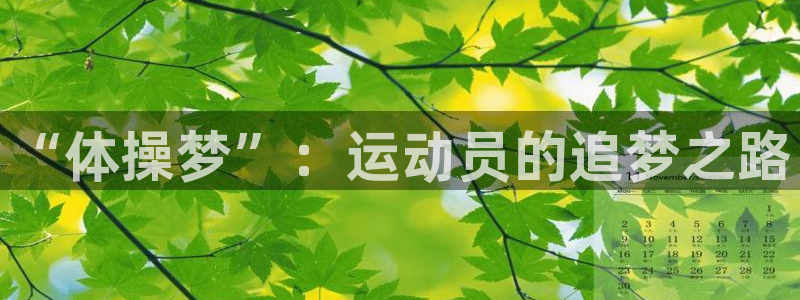 米兰体育官方正版app娱乐:“体操梦”:运动员的追梦之路
