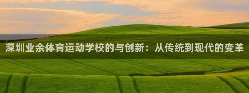 米兰体育官方集团官网：深圳业余体育运动学校的与创新：