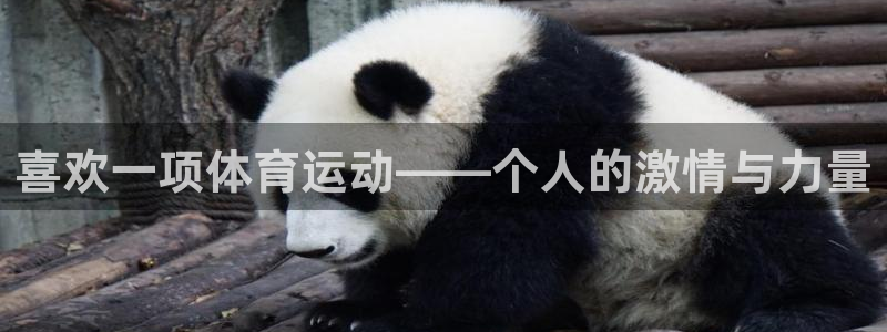 米兰体育官方正版app娱乐：喜欢一项体育运动——个人的激情与
