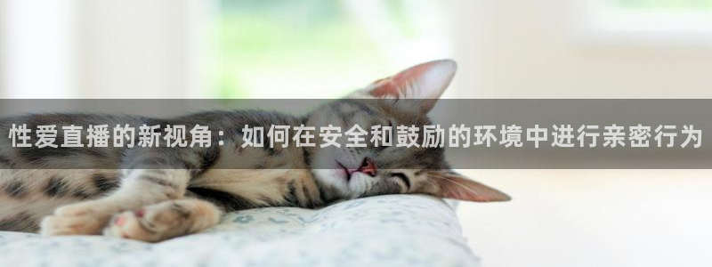 斗球直播在线看：性爱直播的新视角：如何在安全和鼓励的环境中进行亲密行为