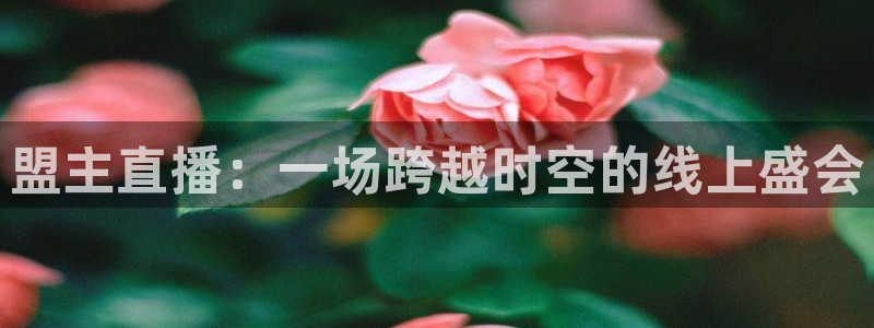 斗球直播全免费观看：盟主直播：一场跨越时空的线上盛会