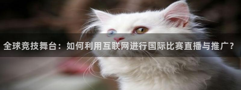 下载斗球体育直播nba：全球竞技舞台：如何利用互联网进行国际比赛直播与推广？