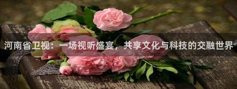 斗球tv直播app下载：河南省卫视：一场视听盛宴，共享文化与科技的交融世界