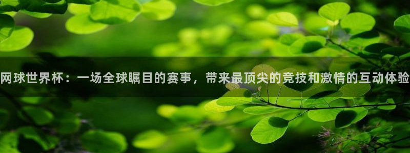 斗球直播官网下载：网球世界杯：一场全球瞩目的赛事，带来最顶尖的竞技和激情的互动体验