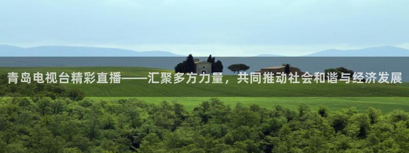斗球直播下载安卓：青岛电视台精彩直播——汇聚多方力量，共同推动社会和谐与经济发展