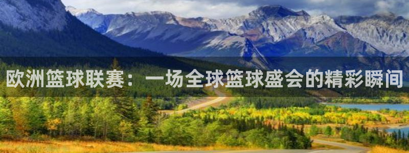 斗球直播nba：欧洲篮球联赛：一场全球篮球盛会的精彩瞬间