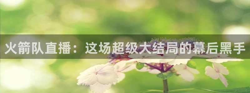 斗球直播app下载安卓最新版：火箭队直播：这场超级大结局的幕后黑手