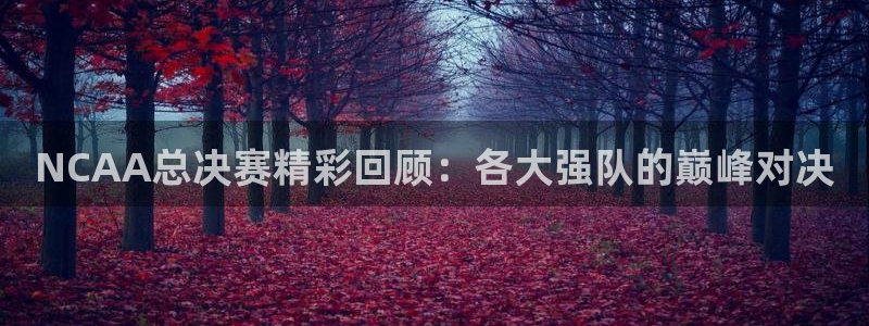 斗球直播安卓版：NCAA总决赛精彩回顾：各大强队的巅峰对决