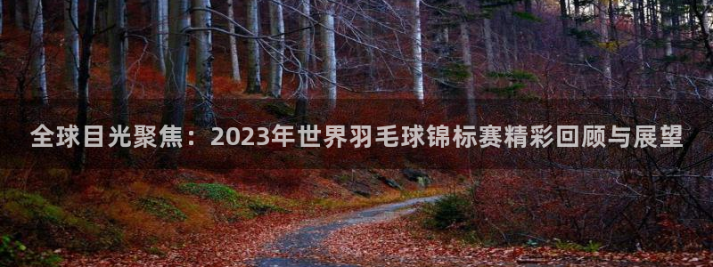 斗球直播旧版下载安装：全球目光聚焦：2023年世界羽毛球锦标赛精彩回顾与展望